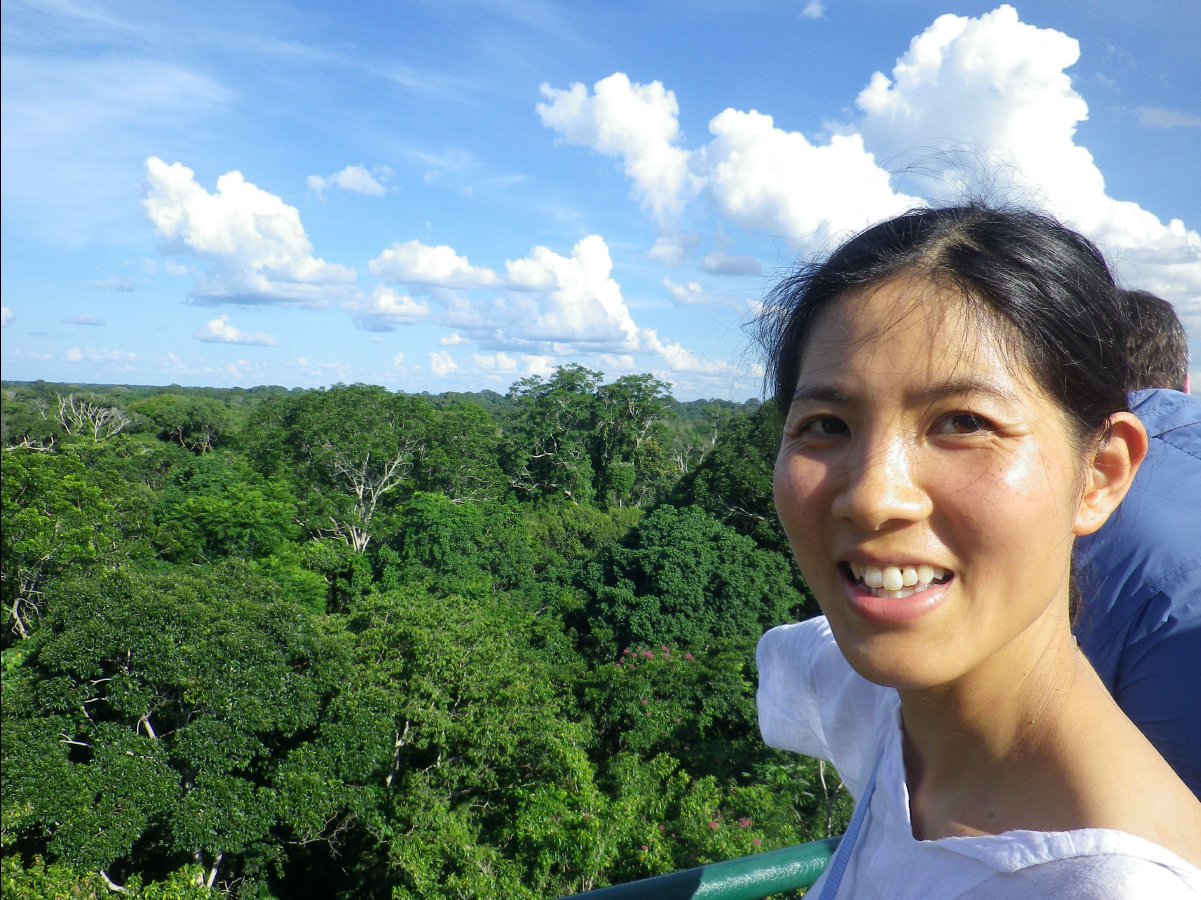 Canopy Tower06